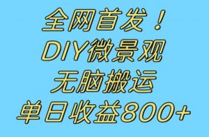 全网首发冷门赛道!DIY微景观,无脑搬运视频,日收益800+【揭秘】-88共享