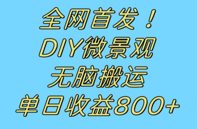 全网首发冷门赛道！DIY微景观，无脑搬运视频，日收益800+【揭秘】-88共享