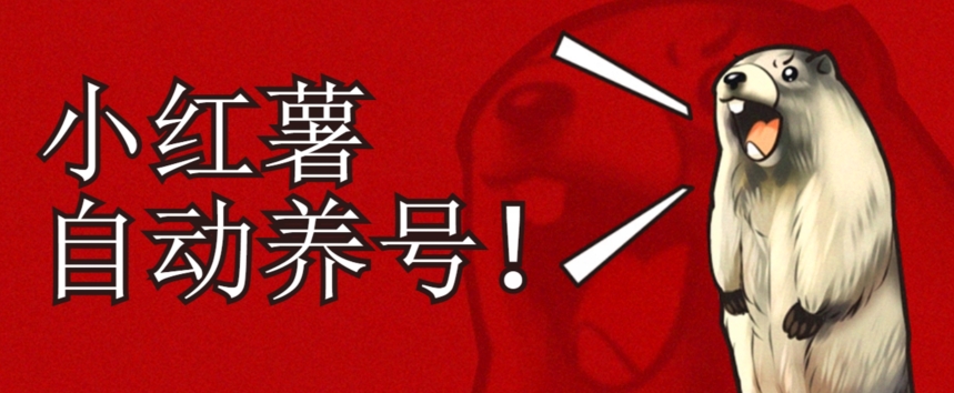 小红书养号秘籍，如何自动涨粉清晰系统标签打造高权重账号【揭秘】-88共享