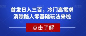 首发日入三百，冷门高需求消除路人零基础玩法来啦【揭秘】-88共享