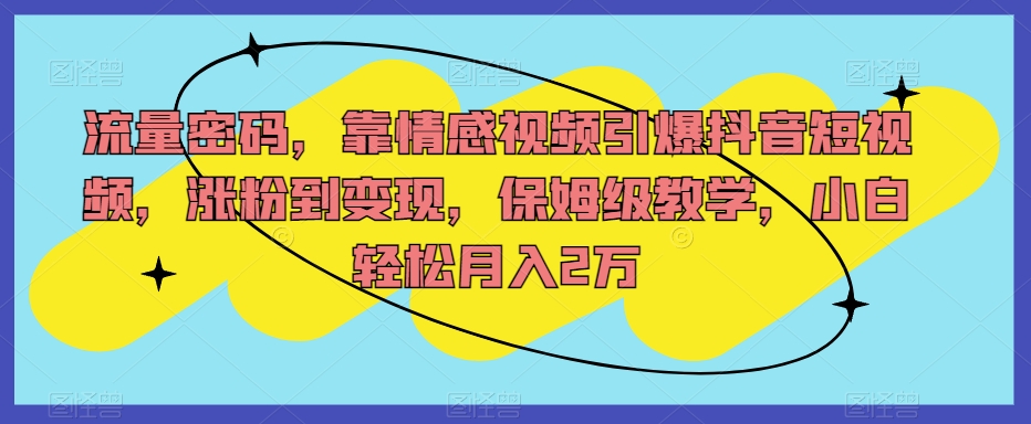 流量密码，靠情感视频引爆抖音短视频，涨粉到变现，保姆级教学，小白轻松月入2万【揭秘】-88共享