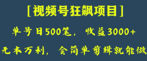 日收款500笔，纯利润3000+，视频号狂飙项目，会简单剪辑就能做【揭秘】-88共享