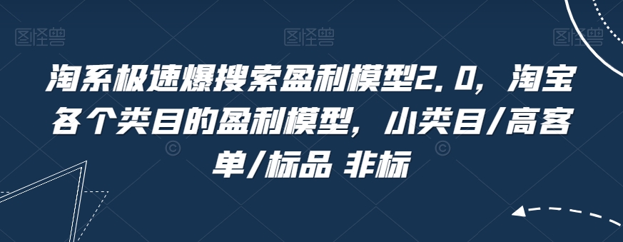 淘系极速爆搜索盈利模型2.0，淘宝各个类目的盈利模型，小类目/高客单/标品 非标-88共享