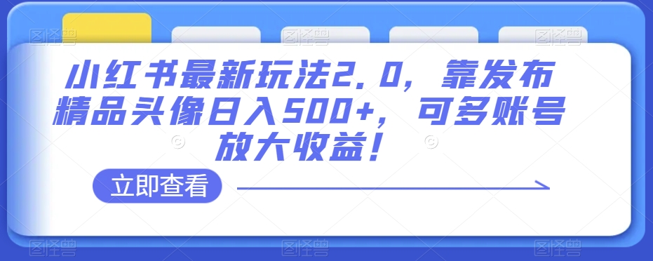 小红书最新玩法2.0，靠发布精品头像日入500+，可多账号放大收益！【揭秘】-88共享