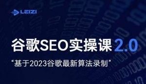 雷子·谷歌SEO 2.0实战课,独立站询盘自由必备,基于2023谷歌最新算法录制-88共享