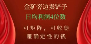 金矿旁边卖铲子,赚确定性的钱,可矩阵,可收徒,日均利润4位数【揭秘】-88共享
