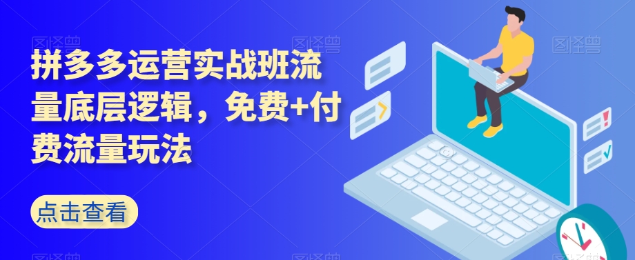 拼多多运营实战班流量底层逻辑，免费+付费流量玩法-88共享