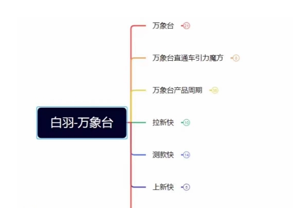 白羽·直引万搜索全篇，从0-1，多个类目实操经验总结付费-88共享