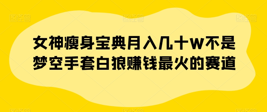 女神瘦身宝典月入几十W不是梦空手套白狼赚钱最火的赛道【揭秘】-88共享