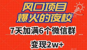 全网首发，爆火的夜校，7天加满6个微信群，变现2w+【揭秘】-88共享