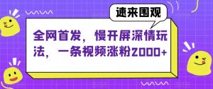全网首发，慢开屏深情玩法，一条视频涨粉2000+【揭秘】-88共享