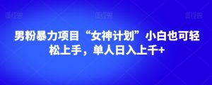 男粉暴力项目“女神计划”小白也可轻松上手,单人日入上千+【揭秘】-88共享