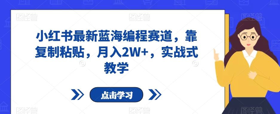 小红书最新蓝海编程赛道，靠复制粘贴，月入2W+，实战式教学【揭秘】-88共享