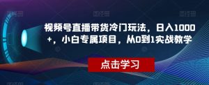 视频号直播带货冷门玩法，日入1000+，小白专属项目，从0到1实战教学【揭秘】-88共享