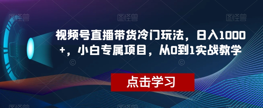 视频号直播带货冷门玩法，日入1000+，小白专属项目，从0到1实战教学【揭秘】-88共享