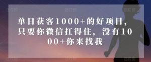 单日获客1000+的好项目，只要你微信扛得住，没有1000+你来找我【揭秘】-88共享