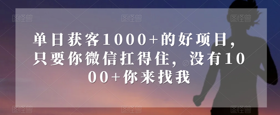 单日获客1000+的好项目，只要你微信扛得住，没有1000+你来找我【揭秘】-88共享