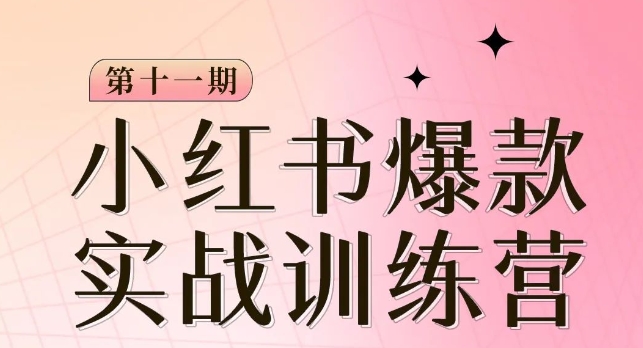 小红书博主爆款训练营第11期，手把手教你从0-1做小红书，从定位到起号到变现-88共享