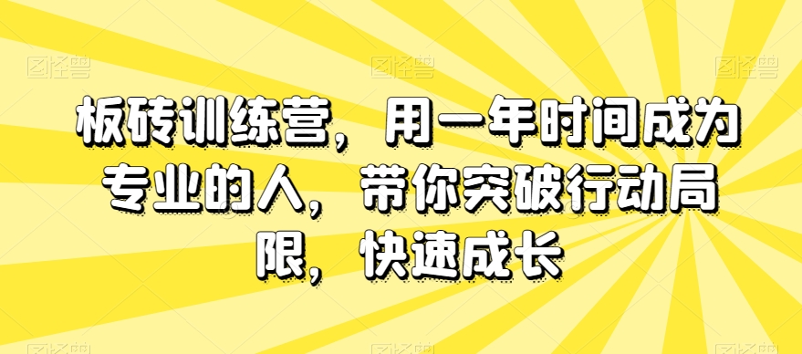 板砖训练营，用一年时间成为专业的人，带你突破行动局限，快速成长-88共享