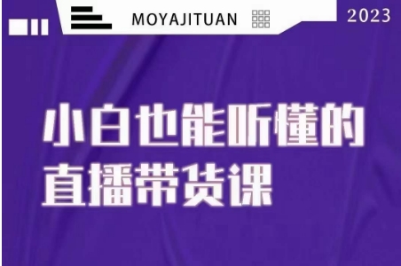 大威本威·能听懂的直播带货课，小白也能听懂，20节完整-88共享