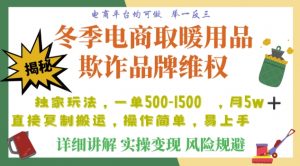 利用电商平台冬季销售取暖用品欺诈行为合理制裁店铺，单日入900+【仅揭秘】-88共享