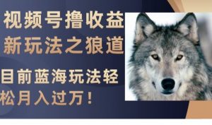 视频号撸收益新玩法之狼道,目前蓝海玩法,轻松月入过万【揭秘】-88共享