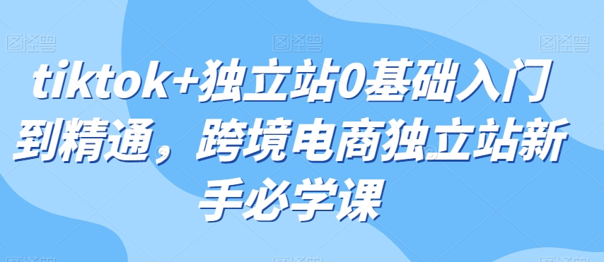 tiktok+独立站0基础入门到精通，跨境电商独立站新手必学课-88共享