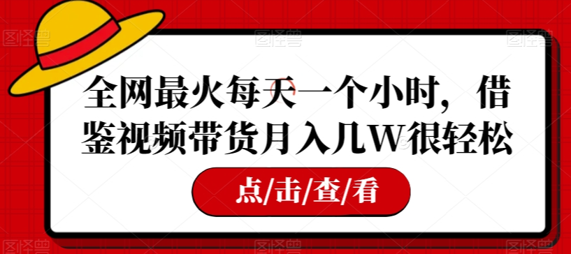 全网最火每天一个小时，借鉴视频带货月入几W很轻松【揭秘】-88共享