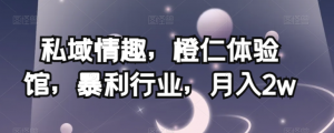 私域情趣,橙仁体验馆,暴利行业,月入2w【揭秘】-88共享