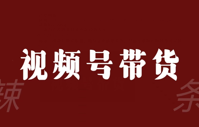 视频号带货联盟，赚信息差的带货钱，只需手机随时随地都可以做！-88共享