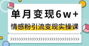单月变现6W+，抖音情感粉引流变现实操课，小白可做，轻松上手，独家赛道【揭秘】-88共享