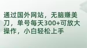 通过国外网站，无脑赚美刀，单号每天300+可放大操作，小白轻松上手【揭秘】-88共享