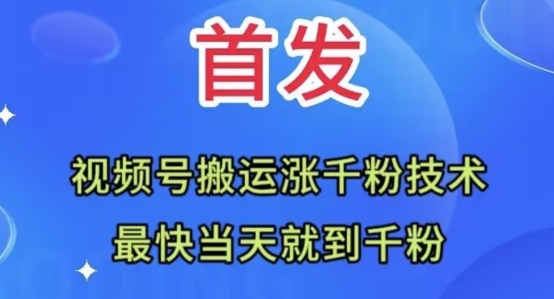 全网首发：视频号无脑搬运涨千粉技术，最快当天到千粉【揭秘】-88共享