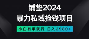 暴力私域捡钱项目，小白无脑操作，日入2980【揭秘】-88共享