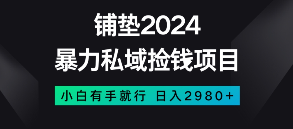 暴力私域捡钱项目，小白无脑操作，日入2980【揭秘】-88共享