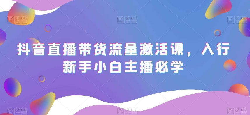 抖音直播带货流量激活课，入行新手小白主播必学-88共享