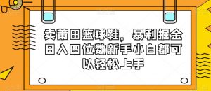 卖莆田篮球鞋,暴利掘金日入四位数新手小白都可以轻松上手【揭秘】-88共享