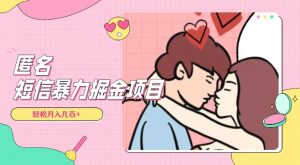 全网首发，揭秘超冷门匿名短信项目，通过信息差日入几百+【揭秘】-88共享