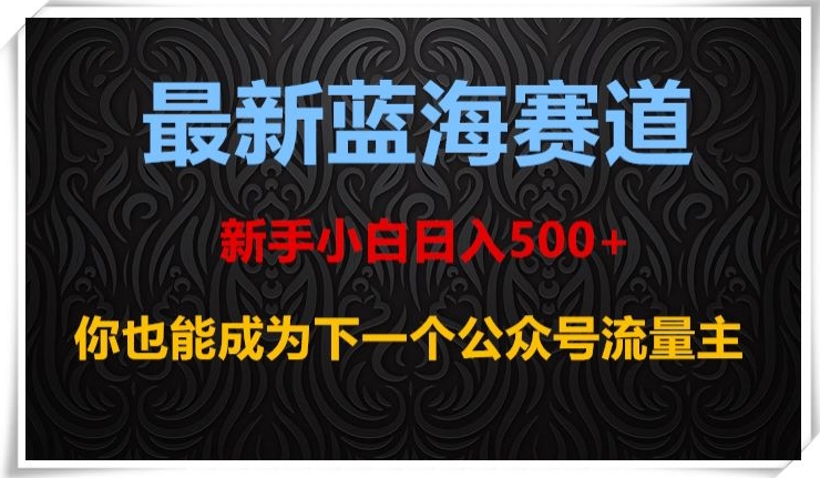 最新蓝海赛道，新手小白日入500+，你也能成为下一个公众号流量主【揭秘】-88共享