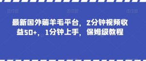 最新国外薅羊毛平台，2分钟视频收益50+，1分钟上手，保姆级教程【揭秘】-88共享