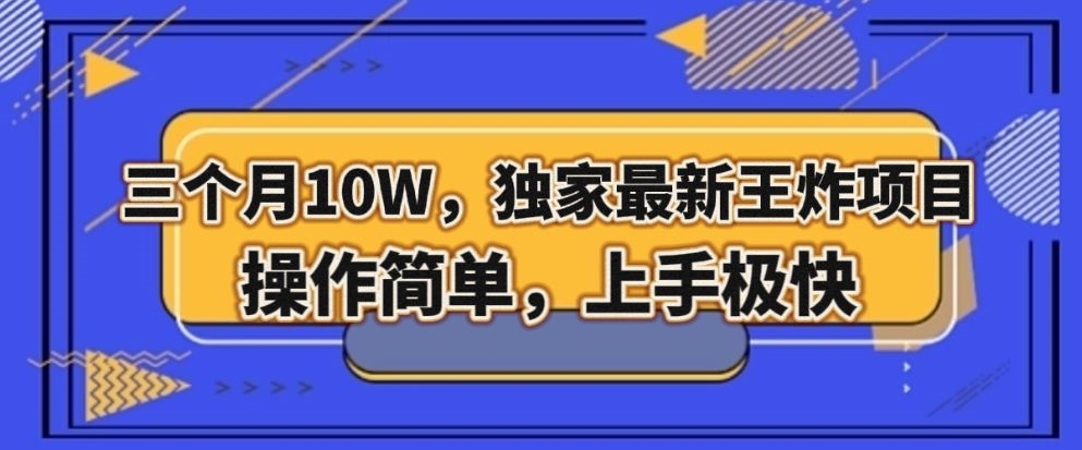 三个月10W，独家最新王炸项目！操作简单，上手极快【揭秘】-88共享