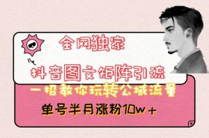 全网独家抖音图文矩阵引流，一招教你玩转公域流量，单号半月涨粉10w+【揭秘】-88共享