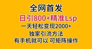 全网首发!日引800+精准老色批,一天变现2000+,独家引流方法,可矩阵操作【揭秘】-88共享