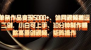 单条作品变现5000+、外网视频搬运二创，小白可上手，10分钟制作爆款高原创视频，矩阵操作【揭秘】-88共享