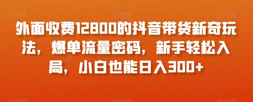 外面收费12800的抖音带货新奇玩法，爆单流量密码，新手轻松入局，小白也能日入300+【揭秘】-88共享