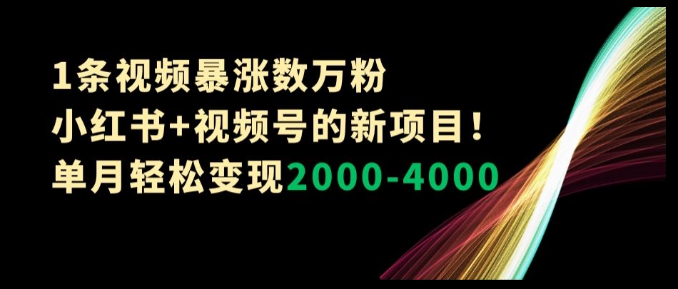1条视频暴涨数万粉–小红书+视频号的新项目！单月轻松变现2000-4000【揭秘】-88共享