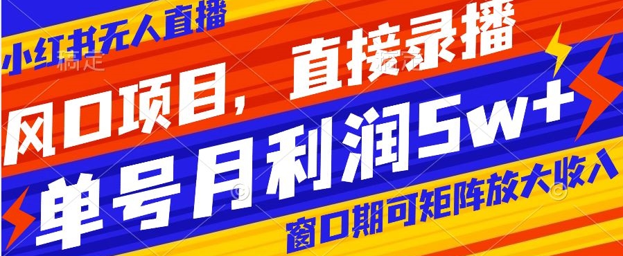 风口项目，小红书无人直播带货，直接录播，可矩阵，月入5w+【揭秘】-88共享