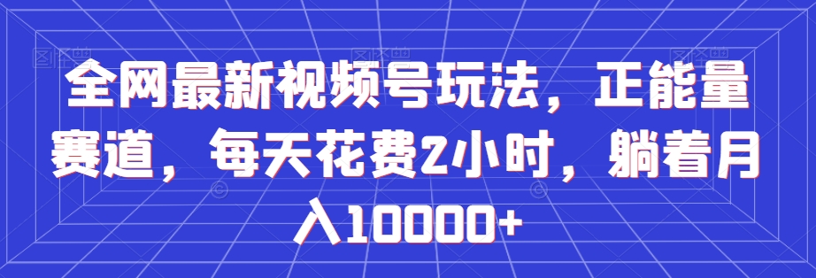 全网最新视频号玩法，正能量赛道，每天花费2小时，躺着月入10000+【揭秘】-88共享