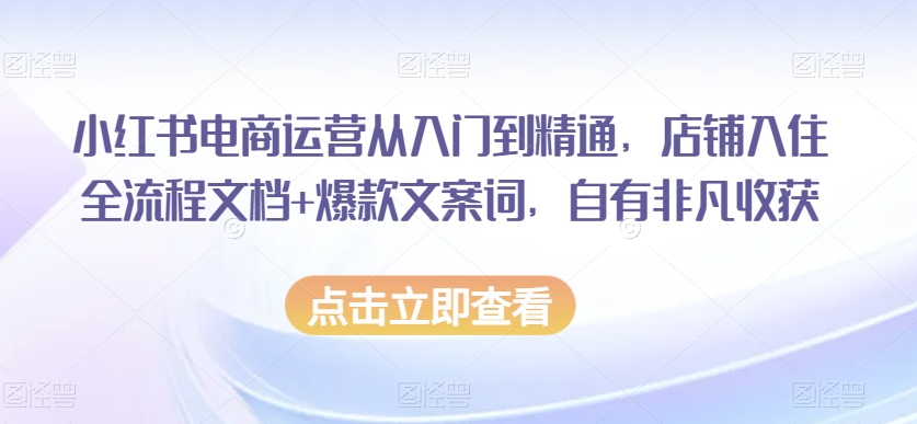 小红书电商运营从入门到精通，店铺入住全流程文档+爆款文案词，自有非凡收获-88共享