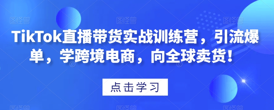 TikTok直播带货实战训练营，引流爆单，学跨境电商，向全球卖货！-88共享